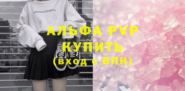 хмурый Няндома