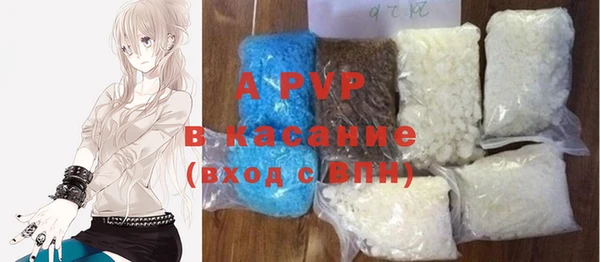 хмурый Няндома