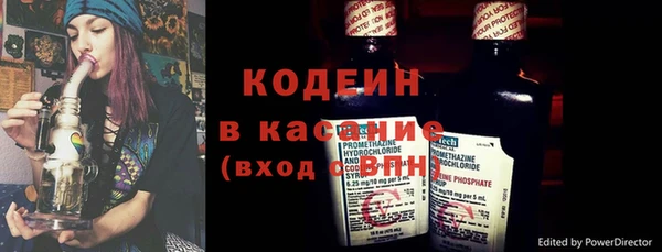 хмурый Няндома