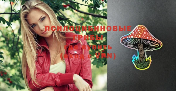 хмурый Няндома