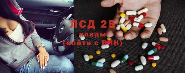 хмурый Няндома