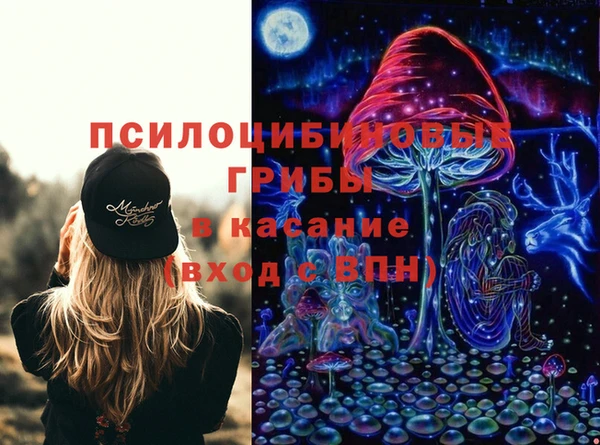 хмурый Няндома
