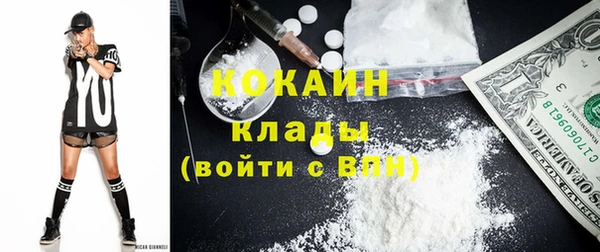 хмурый Няндома