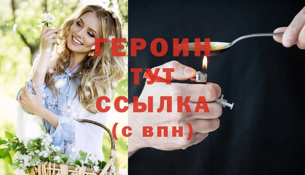 прущие грибы Новокубанск